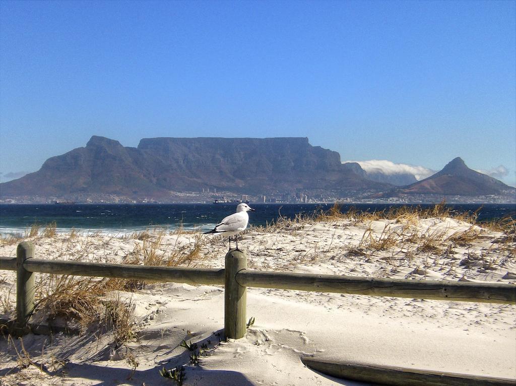 Sunset-Loft Hotel Cape Town Bagian luar foto